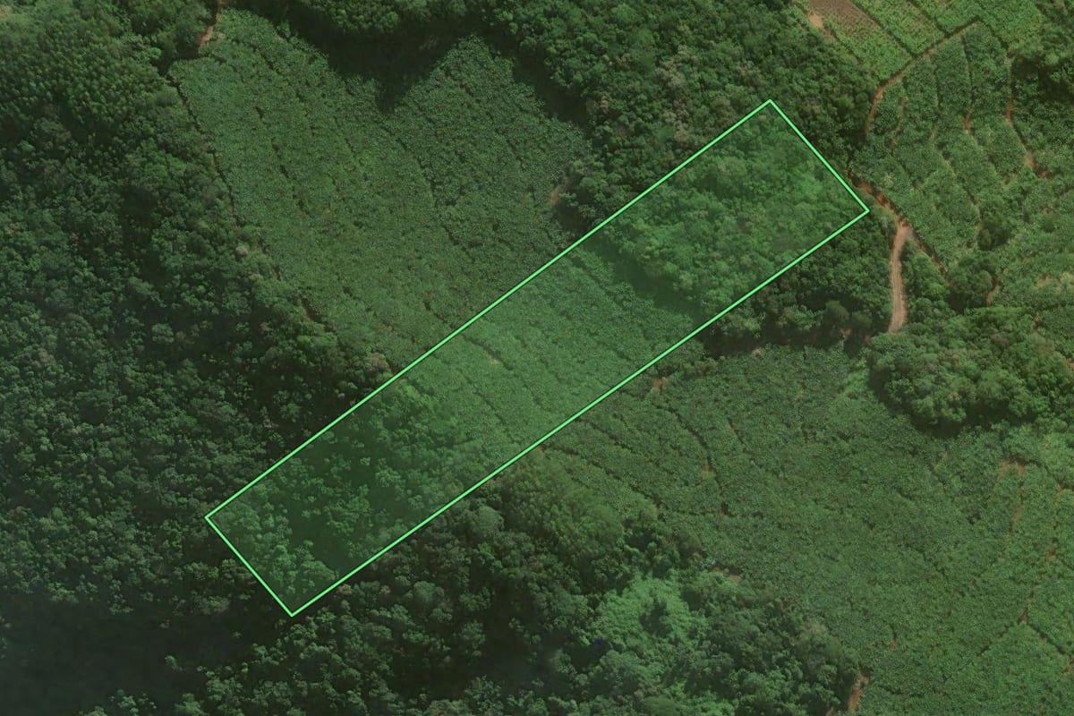 Imagem de satélite do imóvel rural em Sombrio (SC), com o contorno declarado no CAR desenhado por cima.
