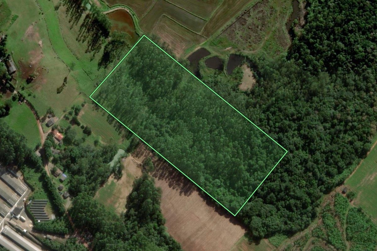 Imagem de satélite do imóvel rural em Sombrio (SC), com o contorno declarado no CAR desenhado por cima.