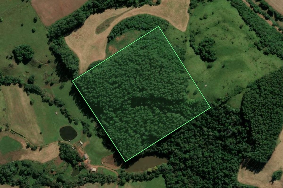 Imagem de satélite do imóvel rural em Sul Brasil (SC), com o contorno declarado no CAR desenhado por cima.