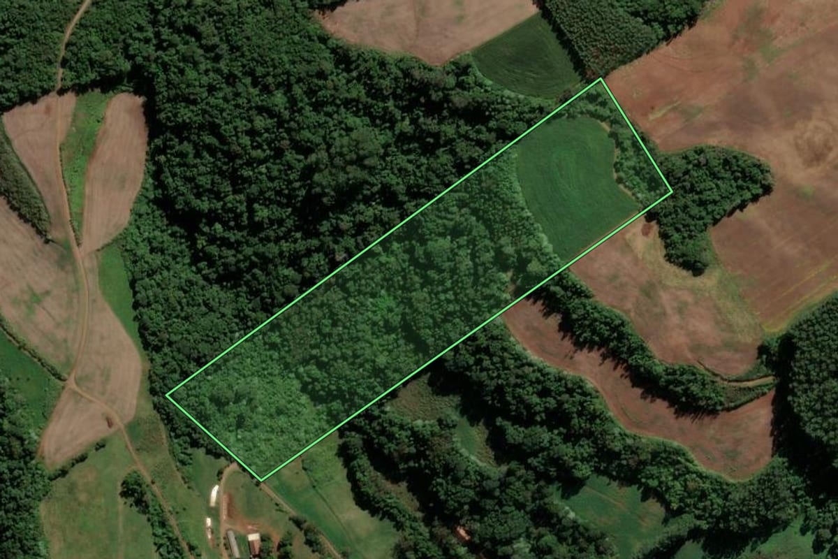 Imagem de satélite do imóvel rural em Sul Brasil (SC), com o contorno declarado no CAR desenhado por cima.