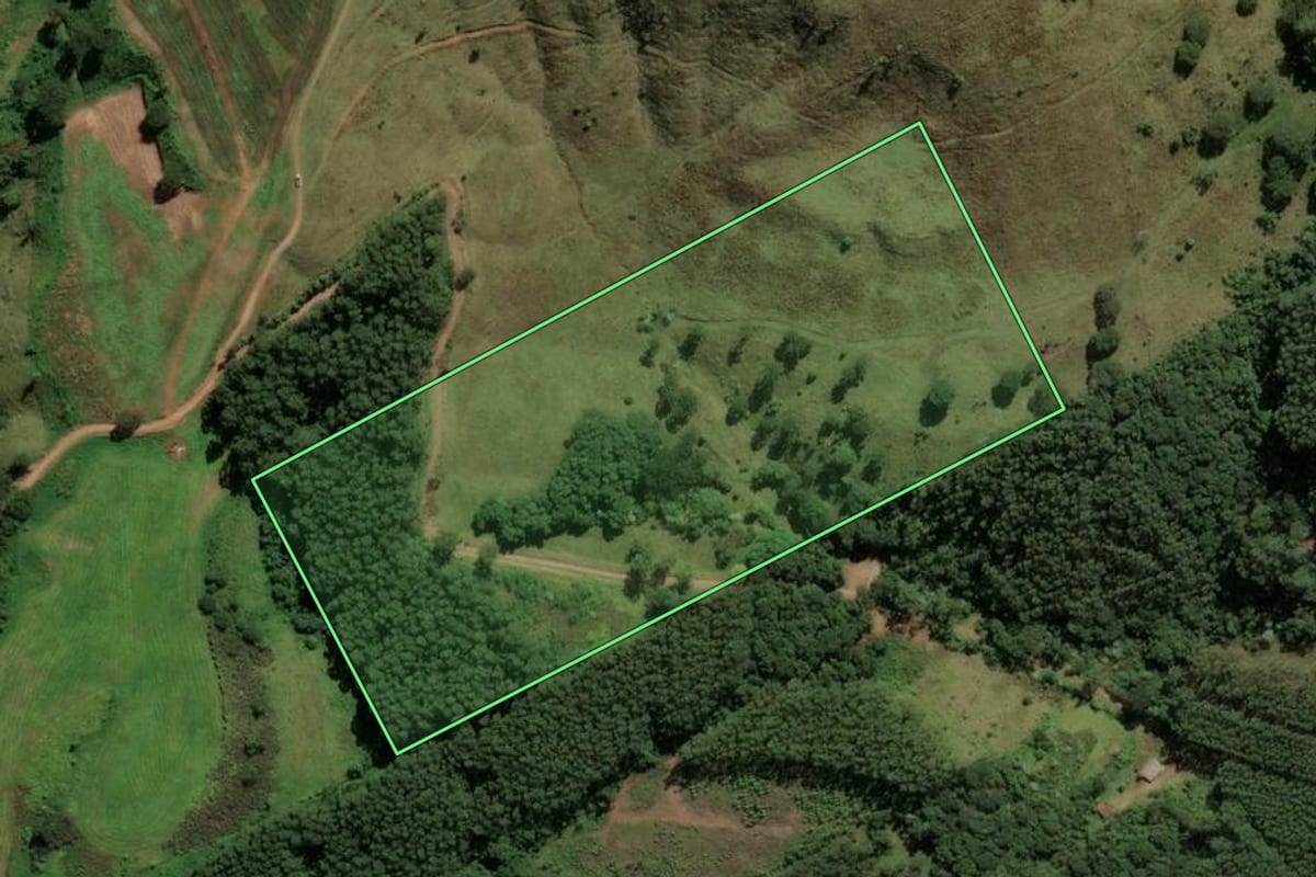 Imagem de satélite do imóvel rural em Sul Brasil (SC), com o contorno declarado no CAR desenhado por cima.