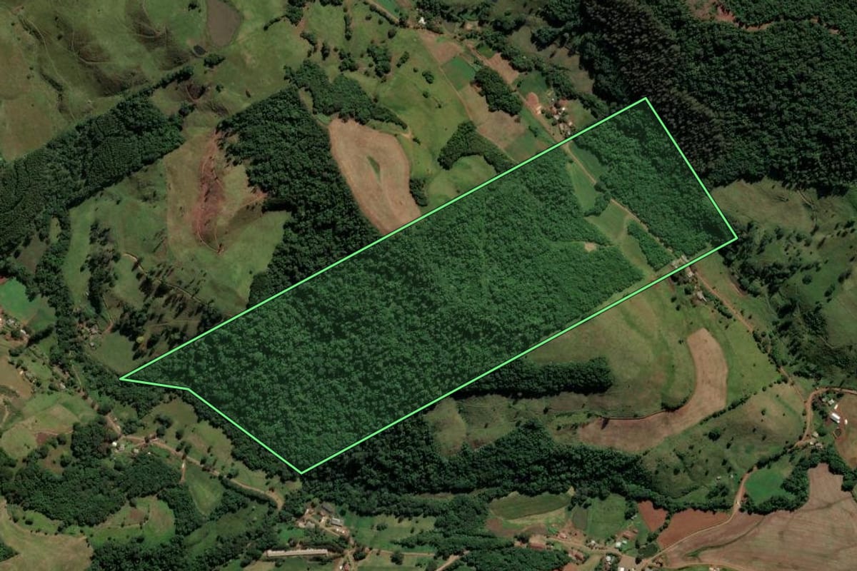 Imagem de satélite do imóvel rural em Sul Brasil (SC), com o contorno declarado no CAR desenhado por cima.