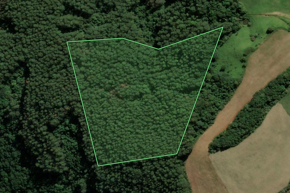 Imagem de satélite do imóvel rural em Sul Brasil (SC), com o contorno declarado no CAR desenhado por cima.