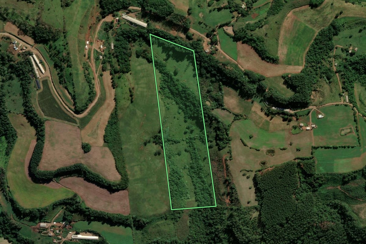 Imagem de satélite do imóvel rural em Sul Brasil (SC), com o contorno declarado no CAR desenhado por cima.