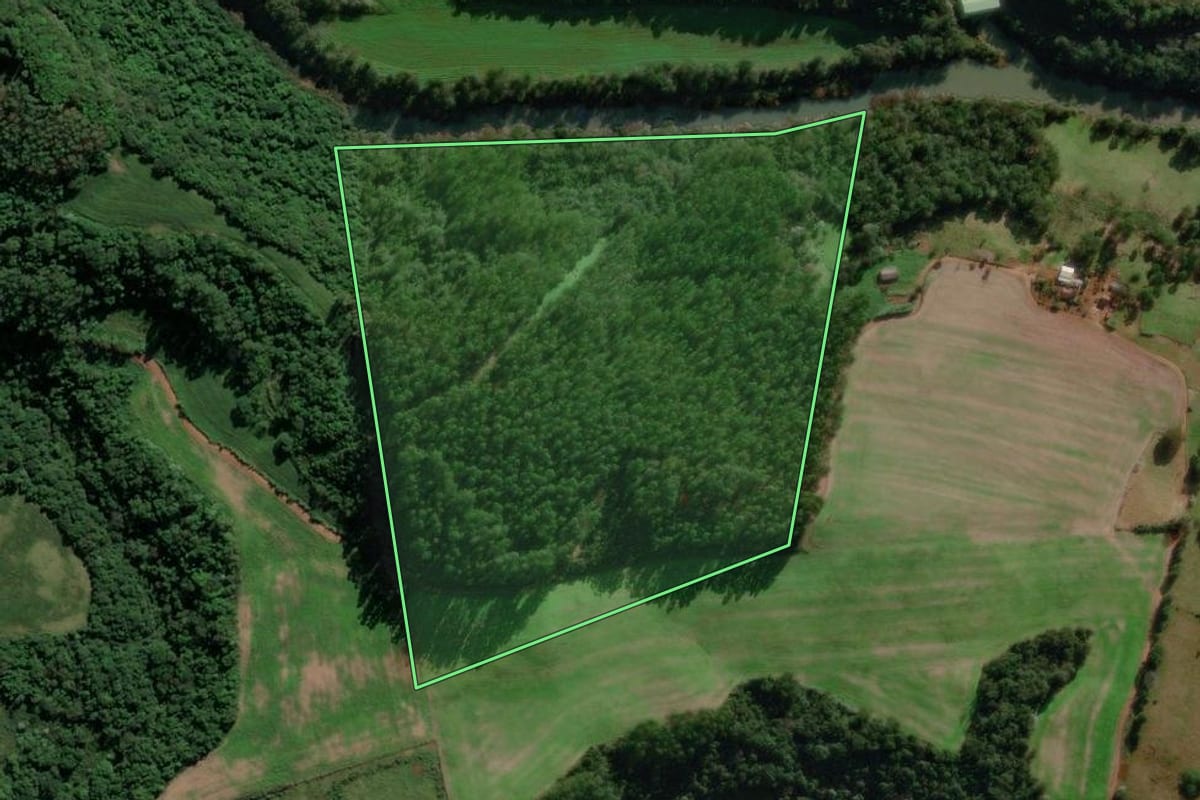 Imagem de satélite do imóvel rural em Sul Brasil (SC), com o contorno declarado no CAR desenhado por cima.