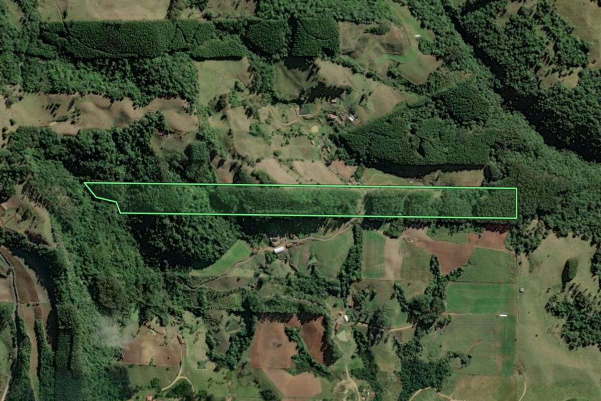 Imagem de satélite do imóvel rural em Taió (SC), com o contorno declarado no CAR desenhado por cima.