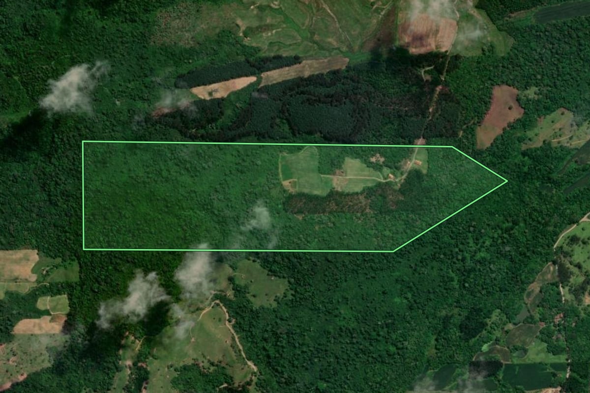 Imagem de satélite do imóvel rural em Taió (SC), com o contorno declarado no CAR desenhado por cima.