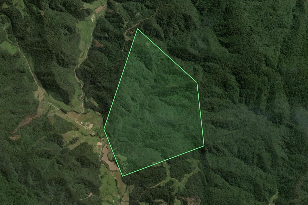 Imagem de satélite do imóvel rural em Taió (SC), com o contorno declarado no CAR desenhado por cima.
