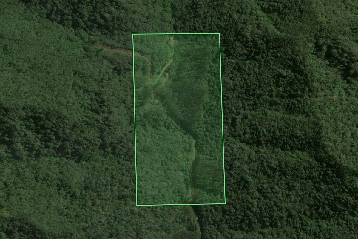 Imagem de satélite do imóvel rural em Taió (SC), com o contorno declarado no CAR desenhado por cima.