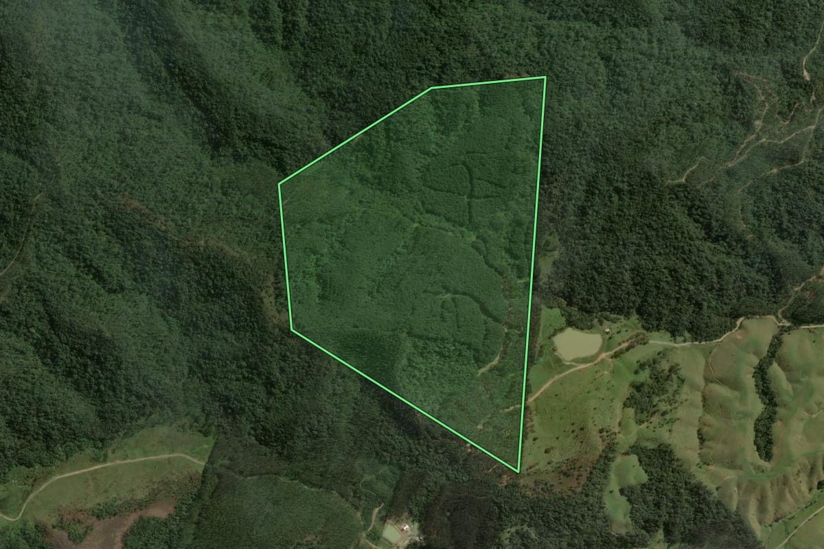 Imagem de satélite do imóvel rural em Taió (SC), com o contorno declarado no CAR desenhado por cima.