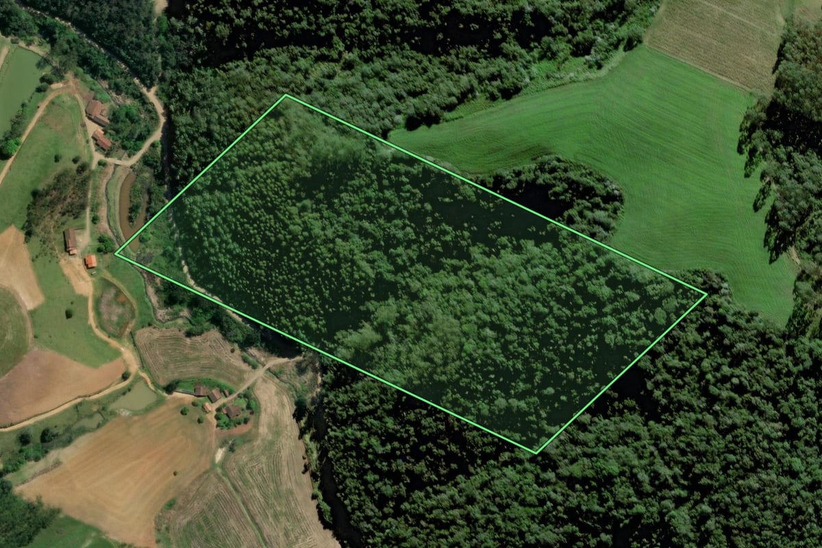 Imagem de satélite do imóvel rural em Taió (SC), com o contorno declarado no CAR desenhado por cima.