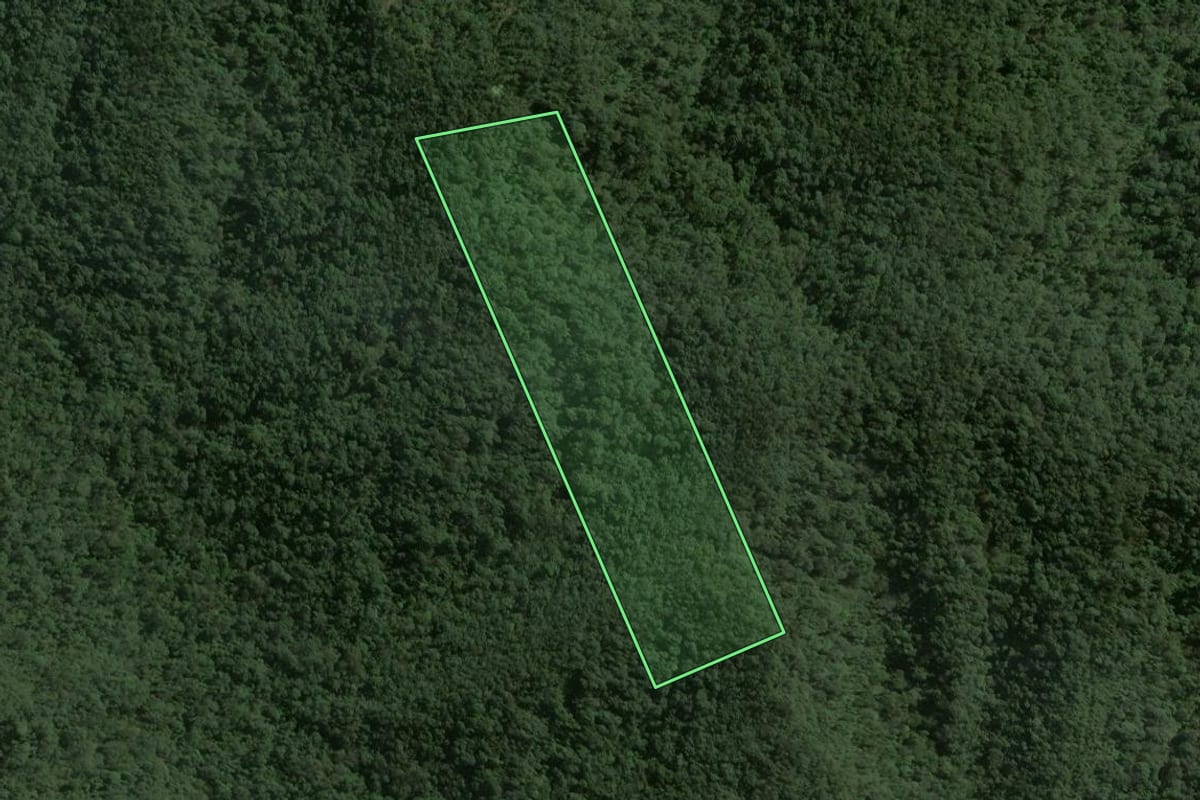 Imagem de satélite do imóvel rural em Taió (SC), com o contorno declarado no CAR desenhado por cima.