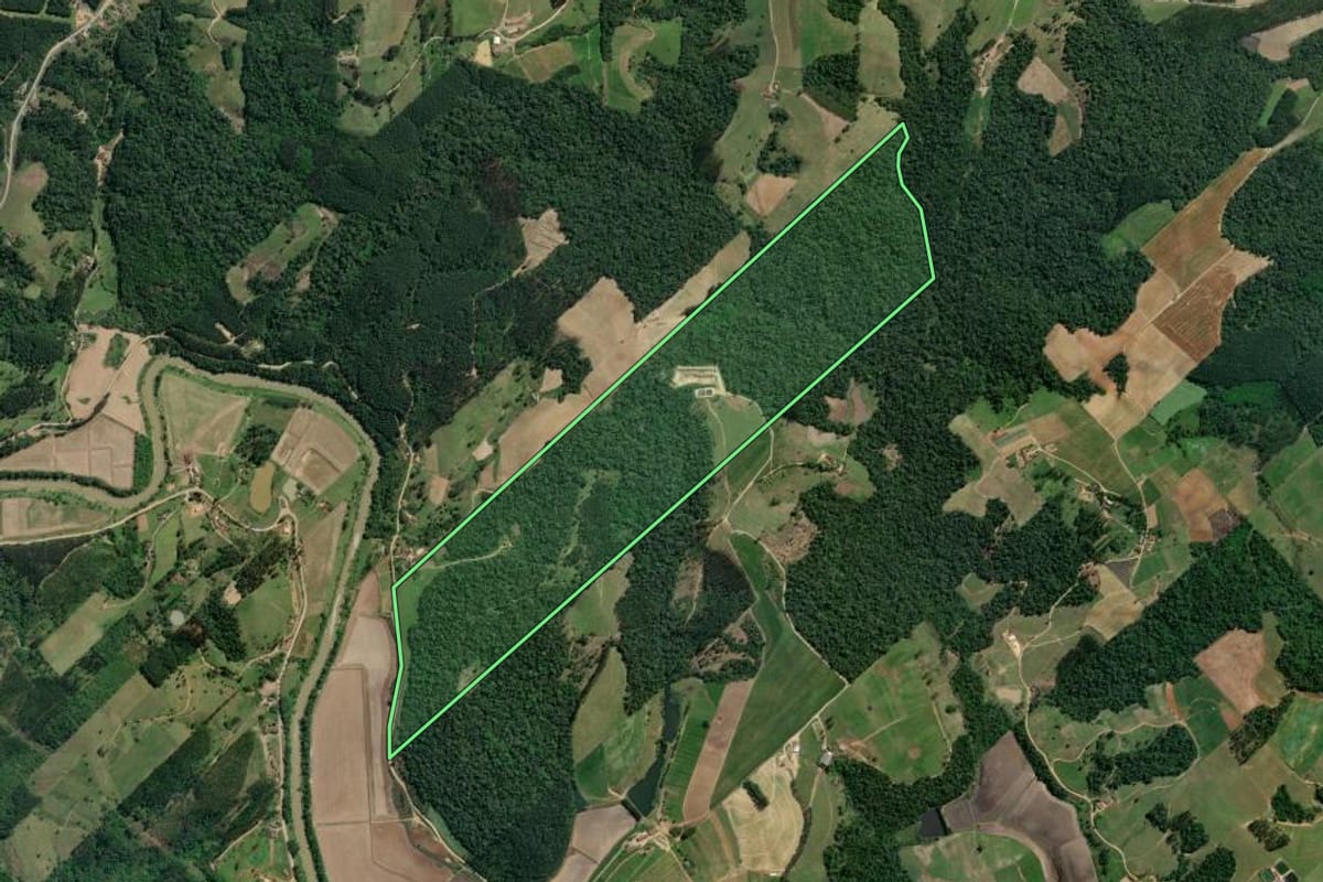 Imagem de satélite do imóvel rural em Taió (SC), com o contorno declarado no CAR desenhado por cima.