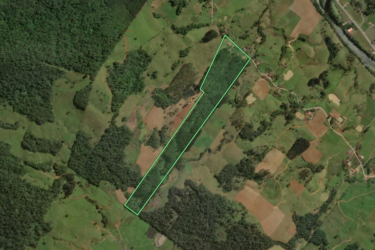 Imagem de satélite do imóvel rural em Taió (SC), com o contorno declarado no CAR desenhado por cima.