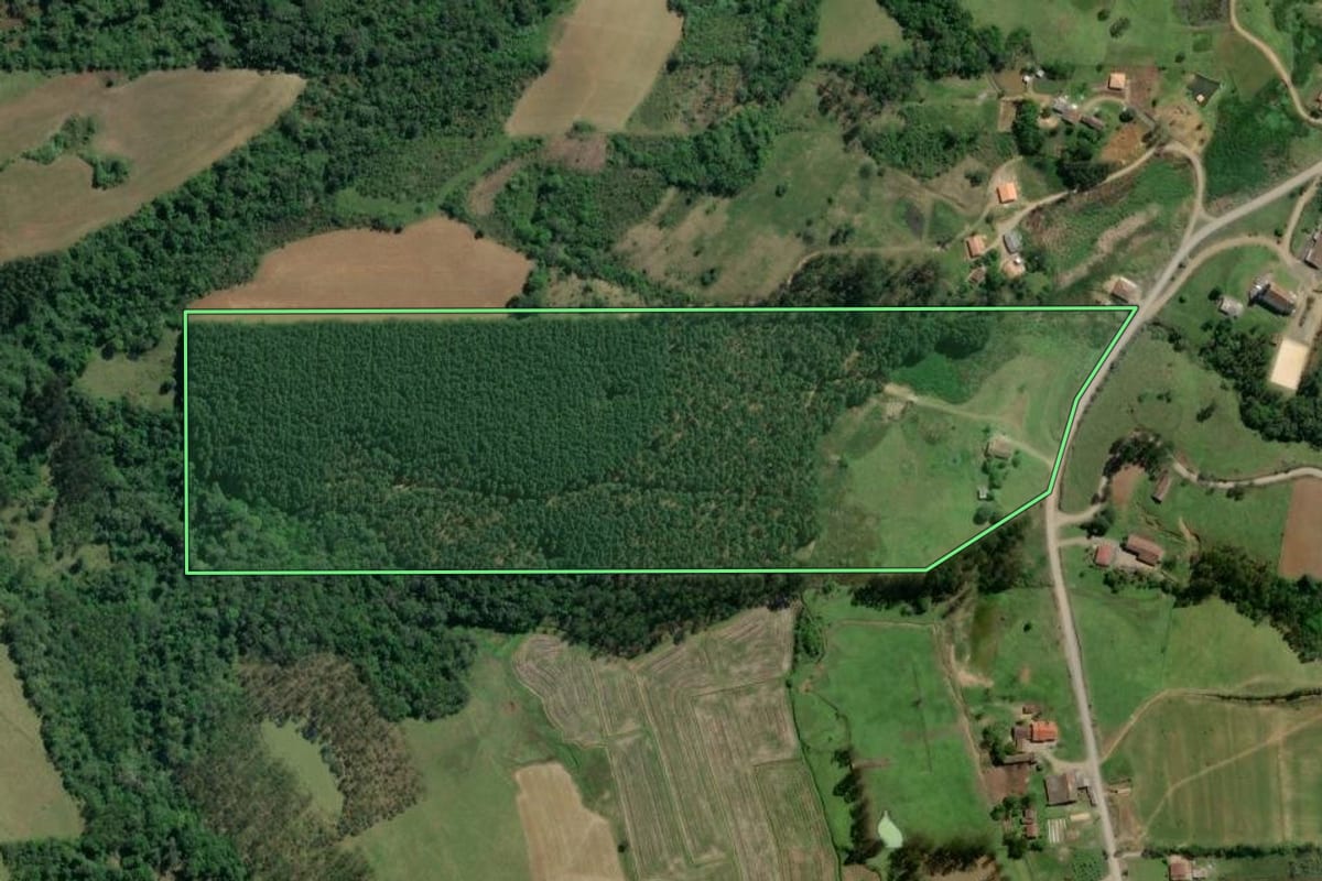 Imagem de satélite do imóvel rural em Taió (SC), com o contorno declarado no CAR desenhado por cima.