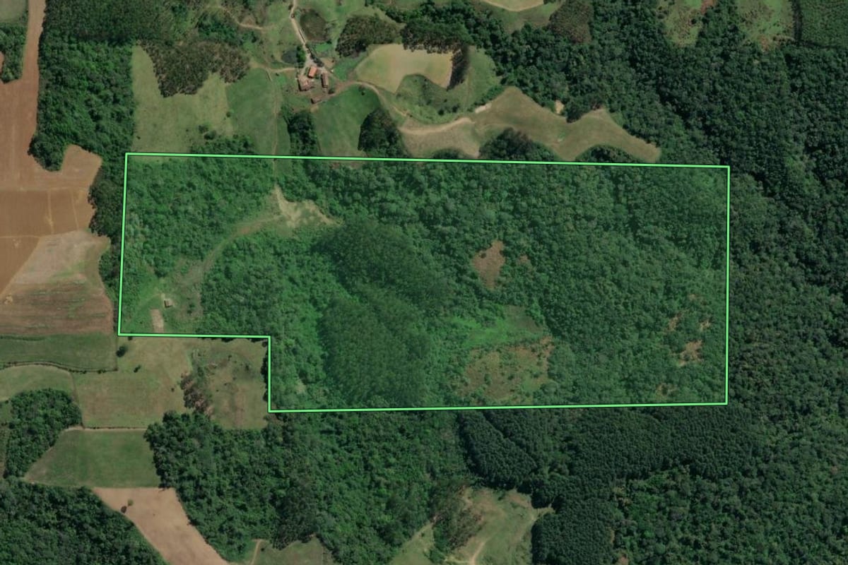 Imagem de satélite do imóvel rural em Taió (SC), com o contorno declarado no CAR desenhado por cima.