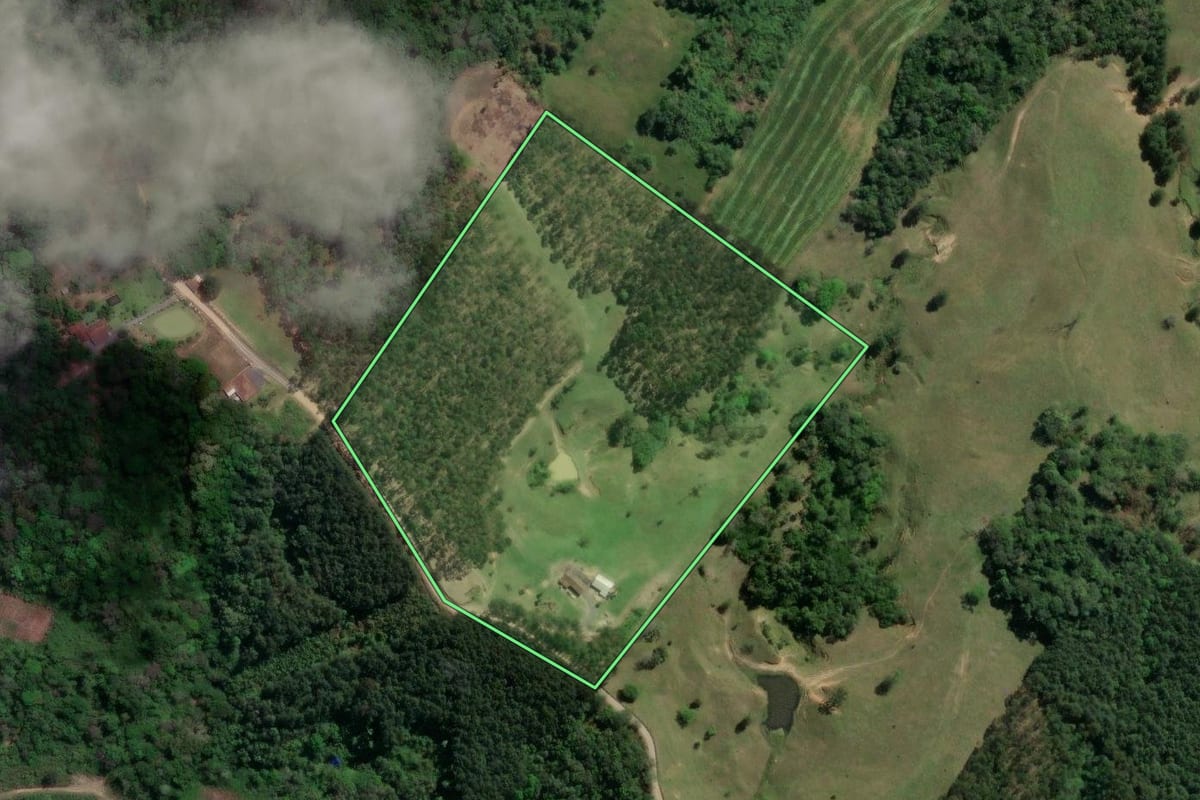 Imagem de satélite do imóvel rural em Taió (SC), com o contorno declarado no CAR desenhado por cima.