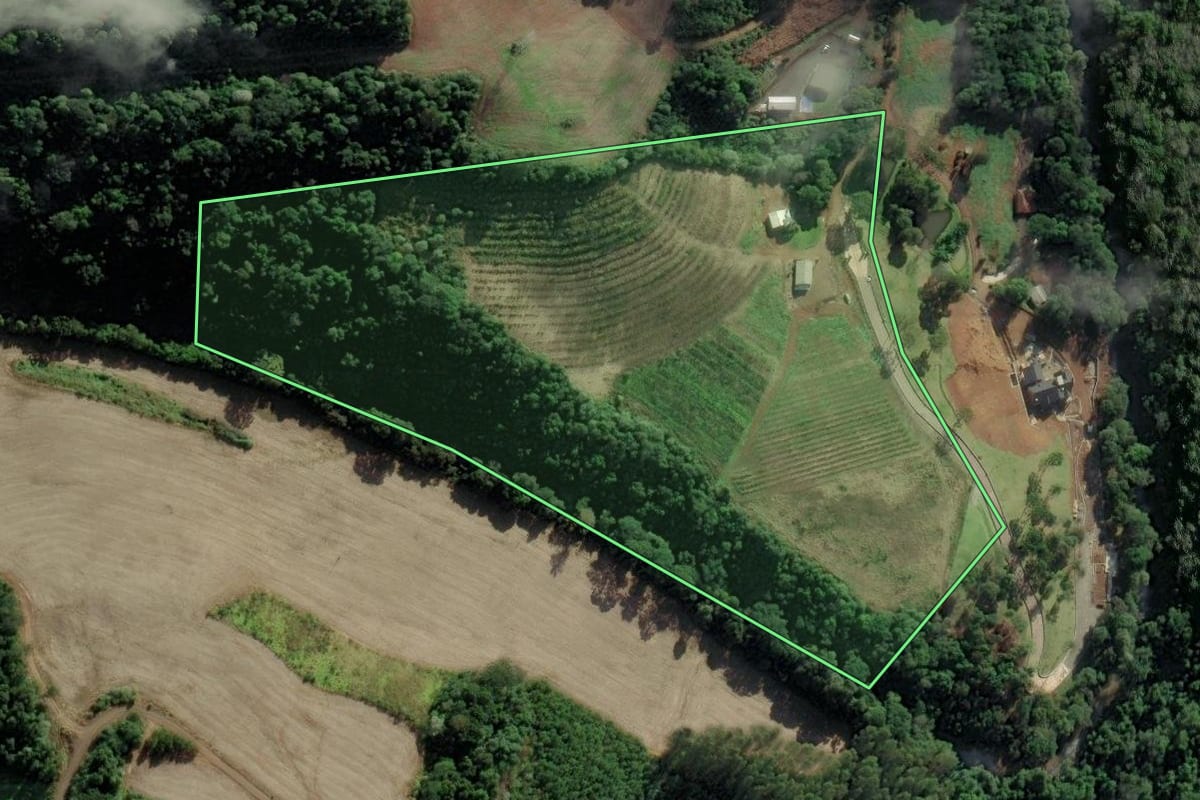 Imagem de satélite do imóvel rural em Tangará (SC), com o contorno declarado no CAR desenhado por cima.