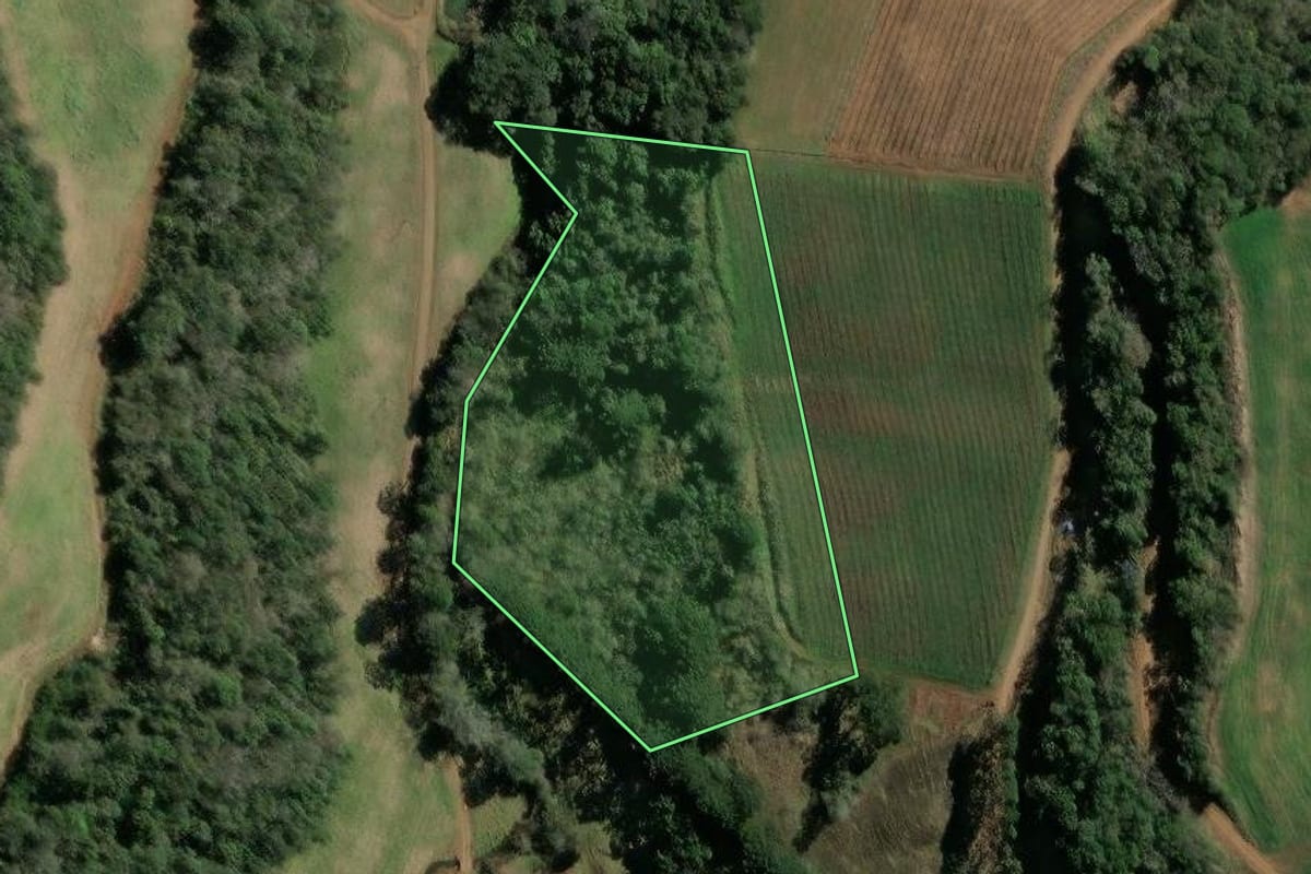 Imagem de satélite do imóvel rural em Tangará (SC), com o contorno declarado no CAR desenhado por cima.