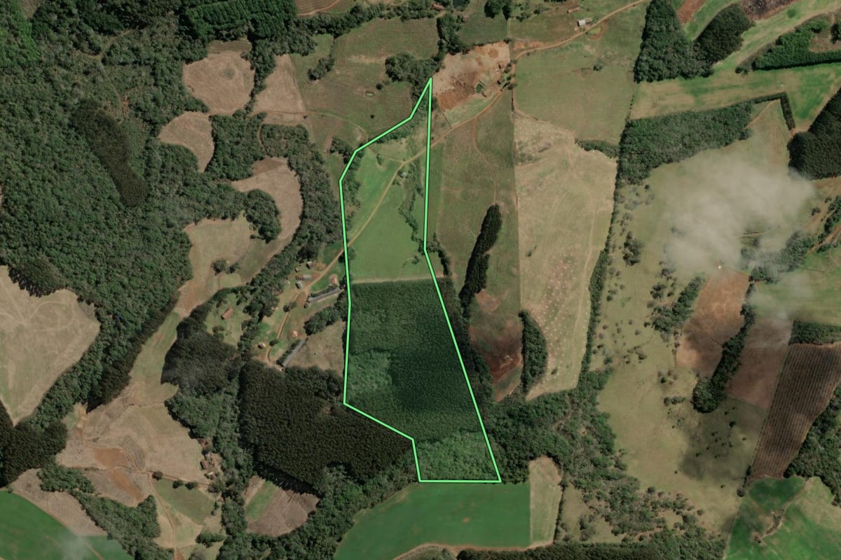 Imagem de satélite do imóvel rural em Tangará (SC), com o contorno declarado no CAR desenhado por cima.