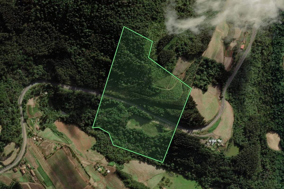 Imagem de satélite do imóvel rural em Tangará (SC), com o contorno declarado no CAR desenhado por cima.