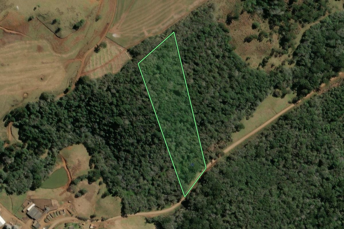 Imagem de satélite do imóvel rural em Tangará (SC), com o contorno declarado no CAR desenhado por cima.