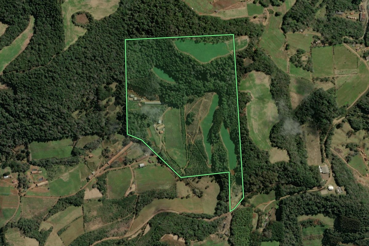 Imagem de satélite do imóvel rural em Tangará (SC), com o contorno declarado no CAR desenhado por cima.