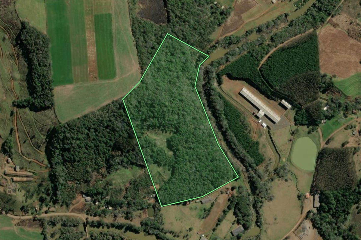 Imagem de satélite do imóvel rural em Tangará (SC), com o contorno declarado no CAR desenhado por cima.