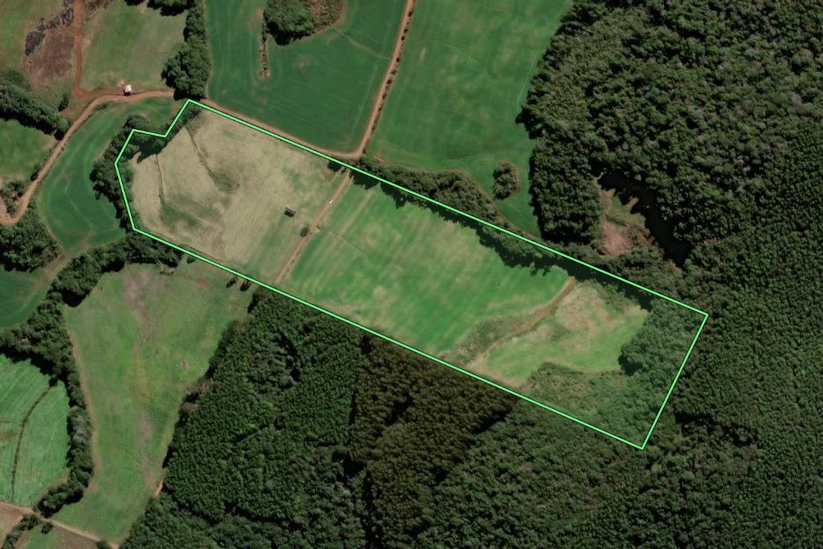 Imagem de satélite do imóvel rural em Tangará (SC), com o contorno declarado no CAR desenhado por cima.