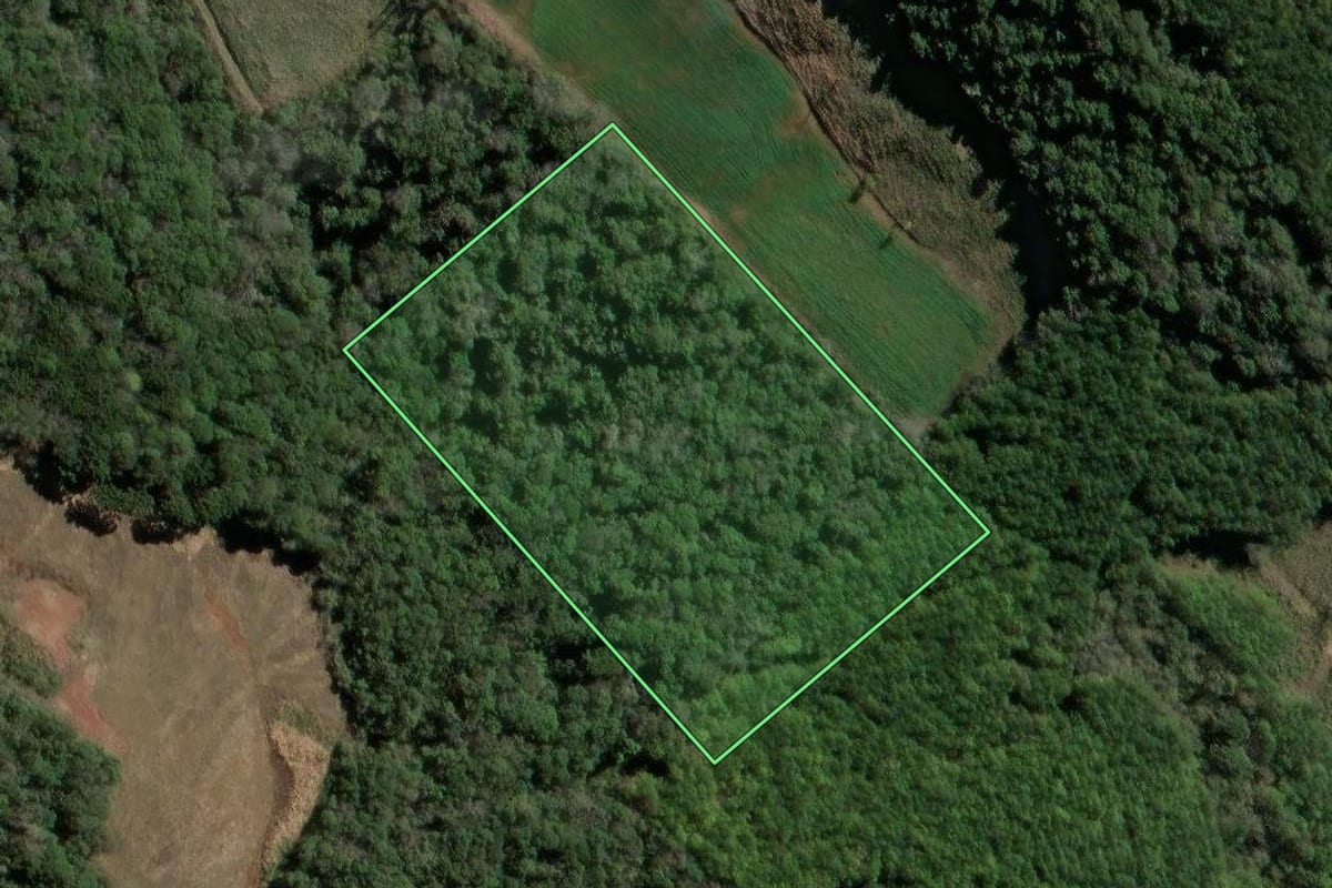 Imagem de satélite do imóvel rural em Tangará (SC), com o contorno declarado no CAR desenhado por cima.