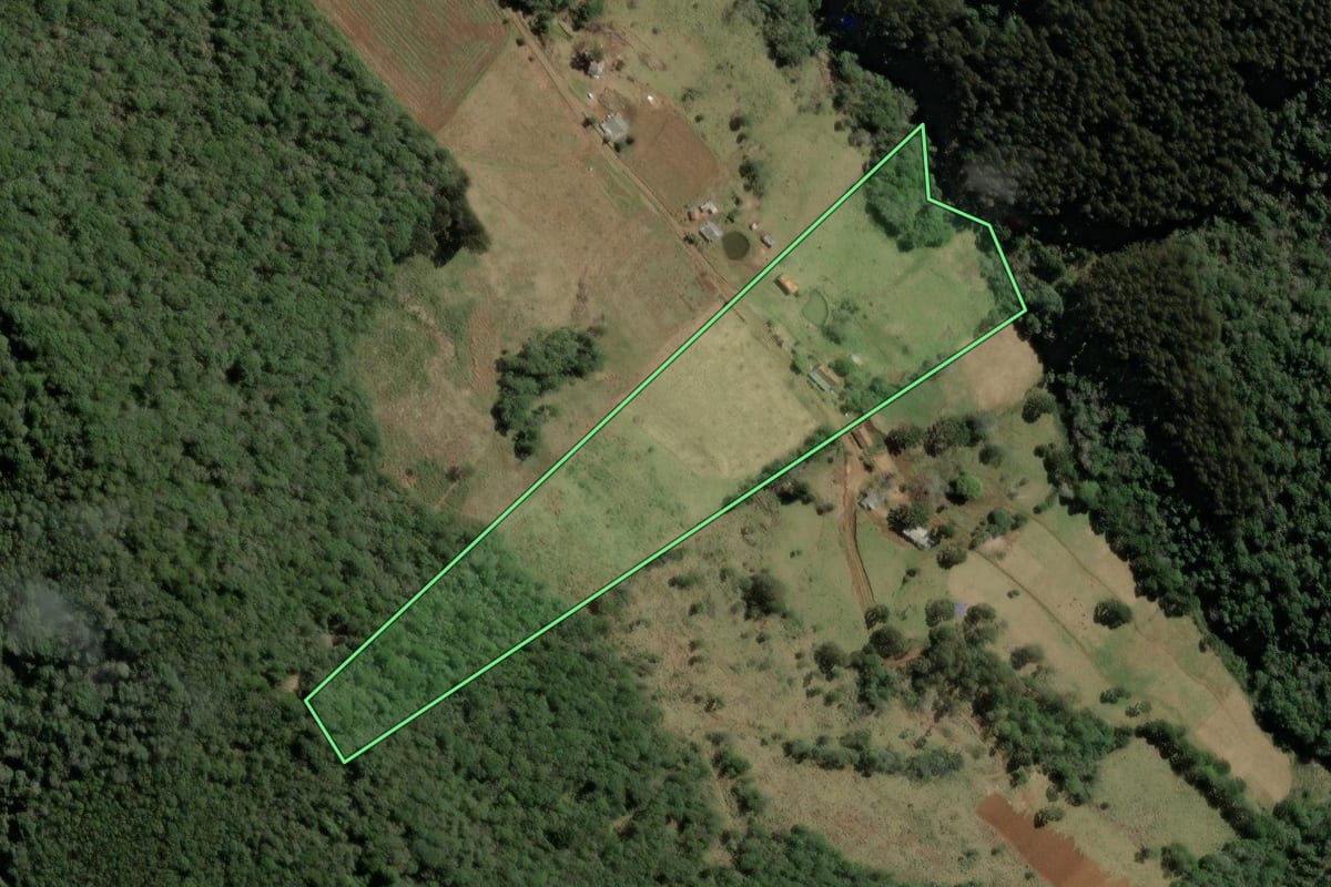 Imagem de satélite do imóvel rural em Tangará (SC), com o contorno declarado no CAR desenhado por cima.