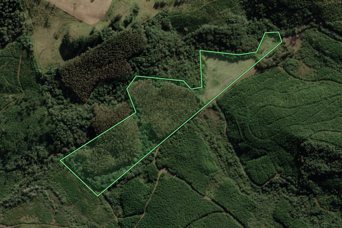 Imagem de satélite do imóvel rural em Tangará (SC), com o contorno declarado no CAR desenhado por cima.