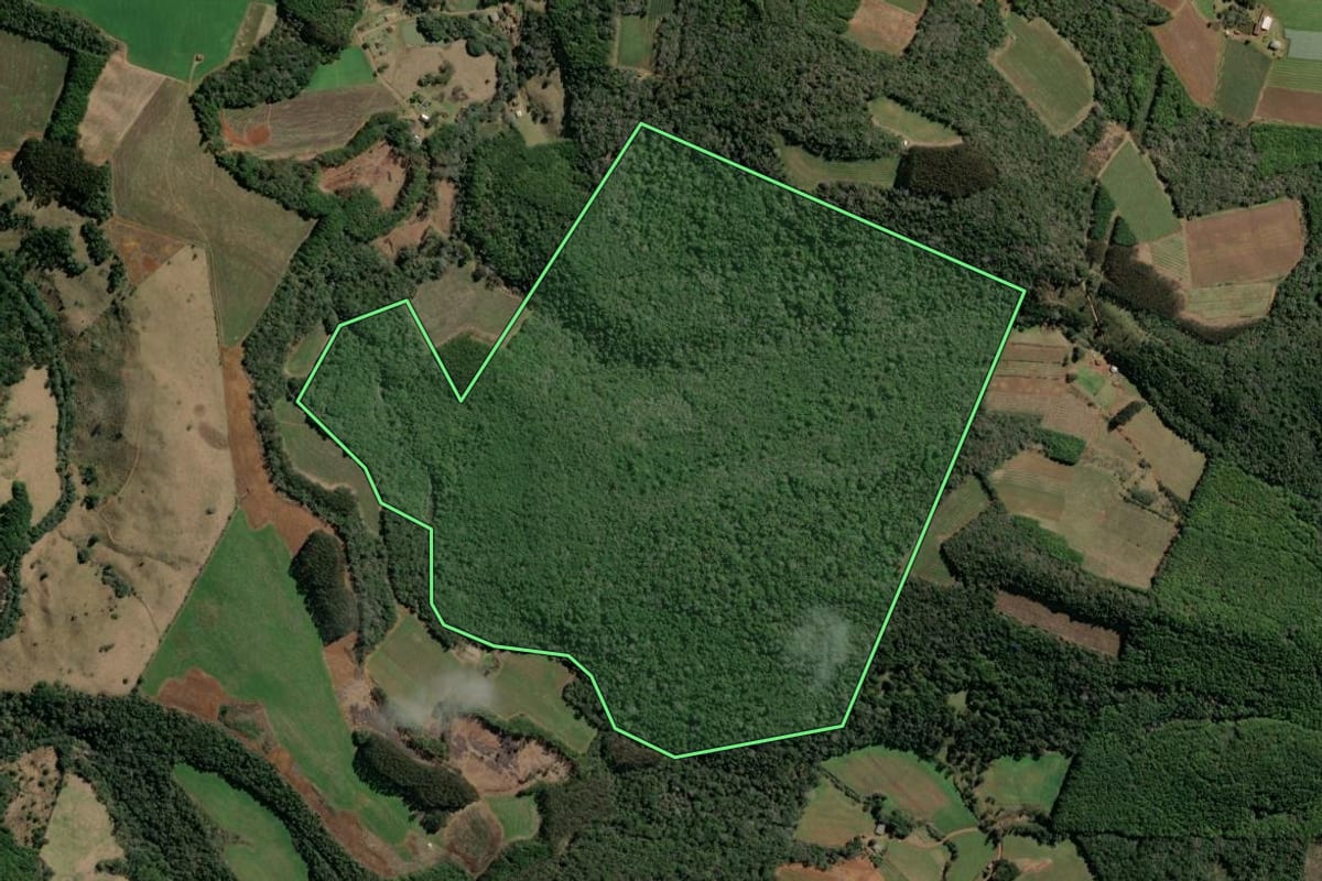 Imagem de satélite do imóvel rural em Tangará (SC), com o contorno declarado no CAR desenhado por cima.