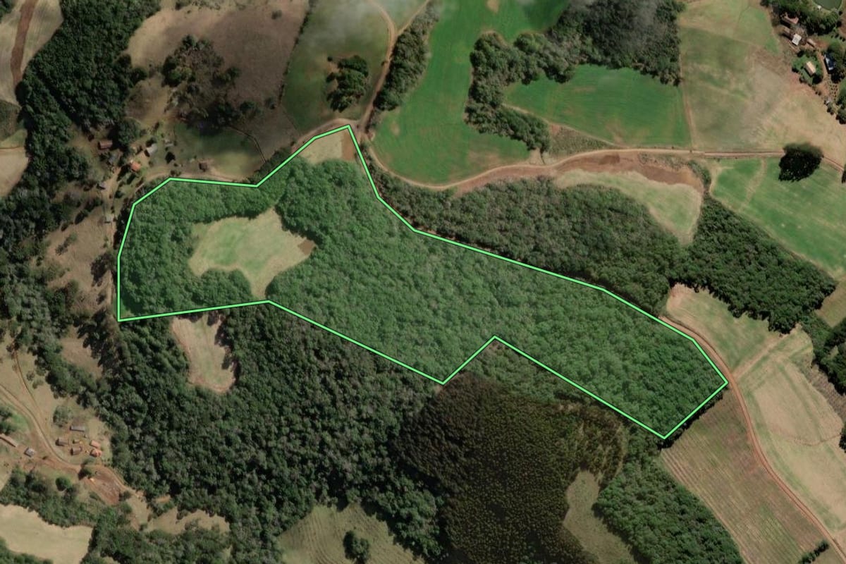 Imagem de satélite do imóvel rural em Tangará (SC), com o contorno declarado no CAR desenhado por cima.