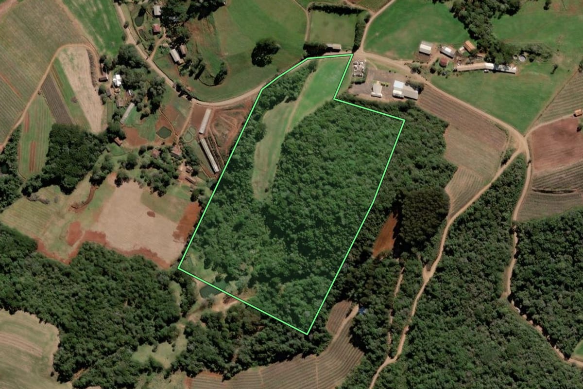 Imagem de satélite do imóvel rural em Tangará (SC), com o contorno declarado no CAR desenhado por cima.