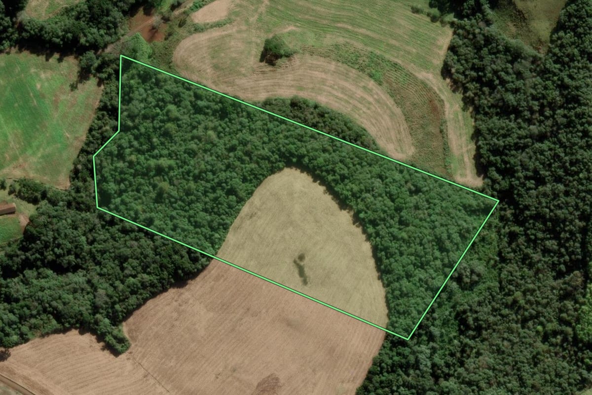 Imagem de satélite do imóvel rural em Tangará (SC), com o contorno declarado no CAR desenhado por cima.