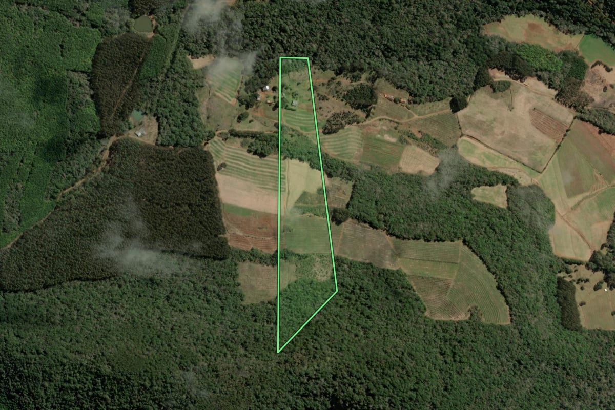 Imagem de satélite do imóvel rural em Tangará (SC), com o contorno declarado no CAR desenhado por cima.