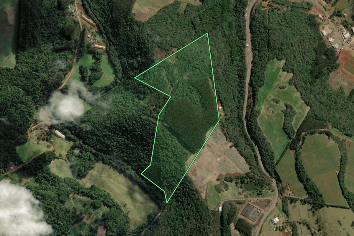 Imagem de satélite do imóvel rural em Tangará (SC), com o contorno declarado no CAR desenhado por cima.