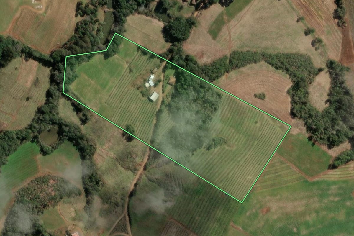 Imagem de satélite do imóvel rural em Tangará (SC), com o contorno declarado no CAR desenhado por cima.