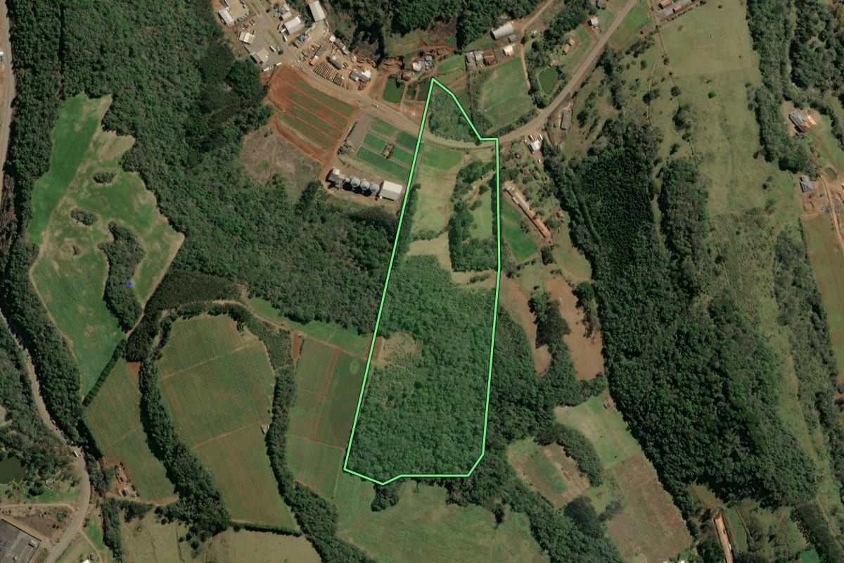 Imagem de satélite do imóvel rural em Tangará (SC), com o contorno declarado no CAR desenhado por cima.