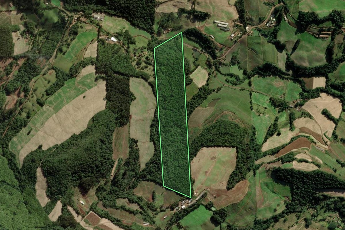 Imagem de satélite do imóvel rural em Tangará (SC), com o contorno declarado no CAR desenhado por cima.