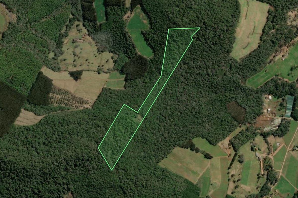 Imagem de satélite do imóvel rural em Tangará (SC), com o contorno declarado no CAR desenhado por cima.