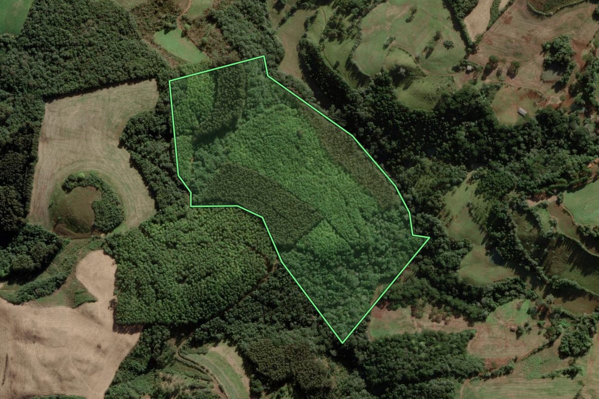 Imagem de satélite do imóvel rural em Tangará (SC), com o contorno declarado no CAR desenhado por cima.