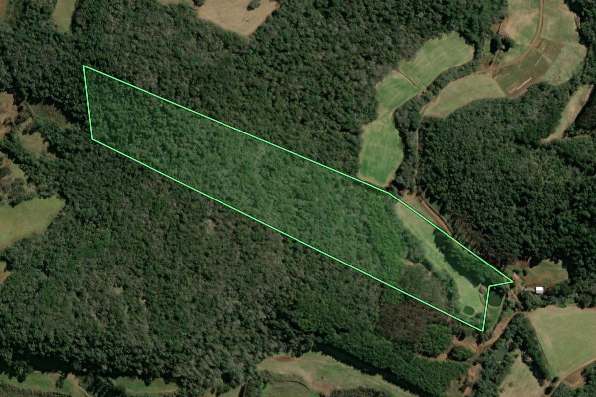 Imagem de satélite do imóvel rural em Tangará (SC), com o contorno declarado no CAR desenhado por cima.