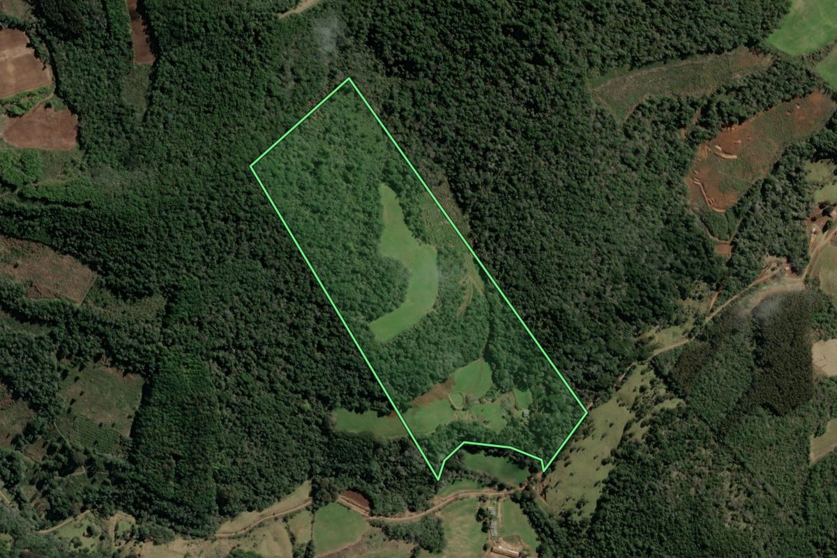 Imagem de satélite do imóvel rural em Tangará (SC), com o contorno declarado no CAR desenhado por cima.