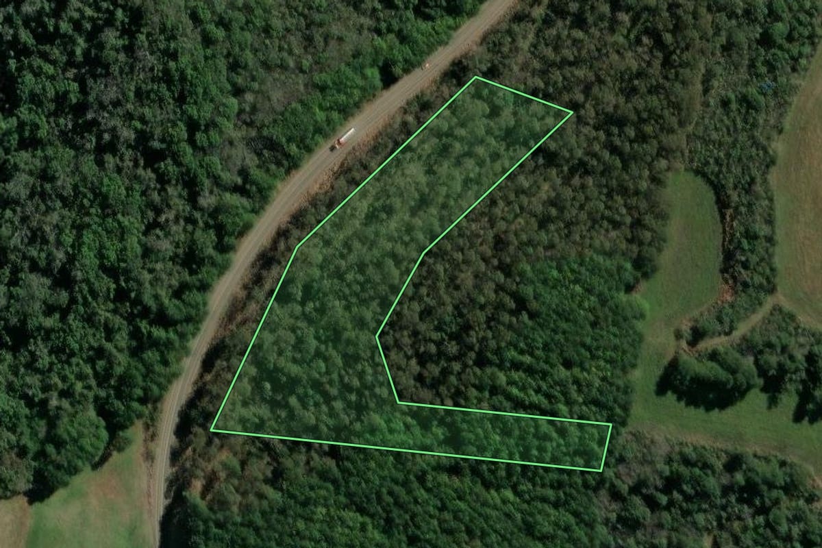 Imagem de satélite do imóvel rural em Tangará (SC), com o contorno declarado no CAR desenhado por cima.