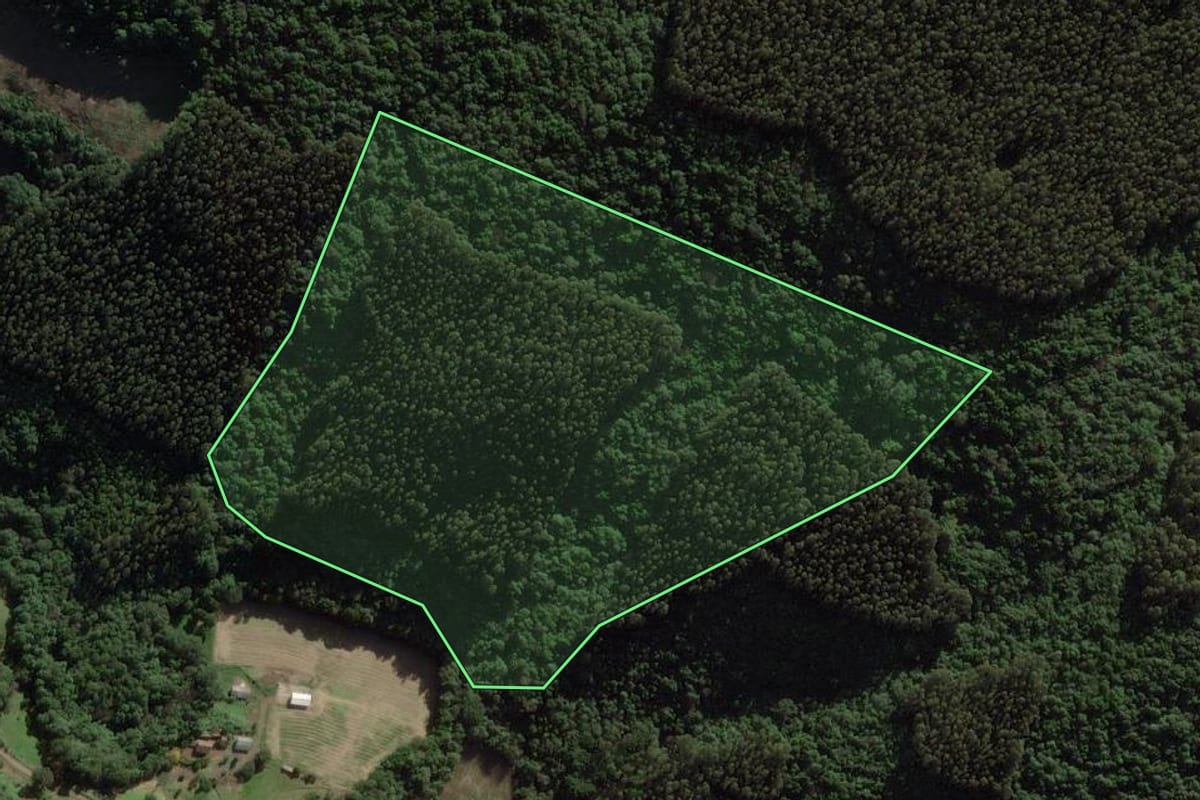 Imagem de satélite do imóvel rural em Tangará (SC), com o contorno declarado no CAR desenhado por cima.