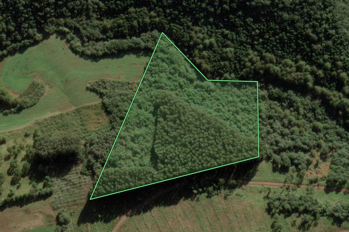 Imagem de satélite do imóvel rural em Tangará (SC), com o contorno declarado no CAR desenhado por cima.