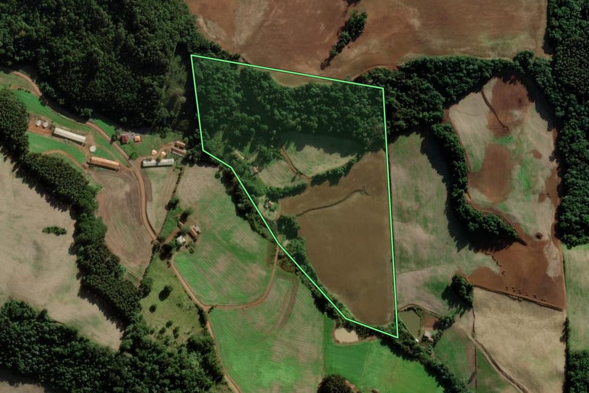 Imagem de satélite do imóvel rural em Tangará (SC), com o contorno declarado no CAR desenhado por cima.
