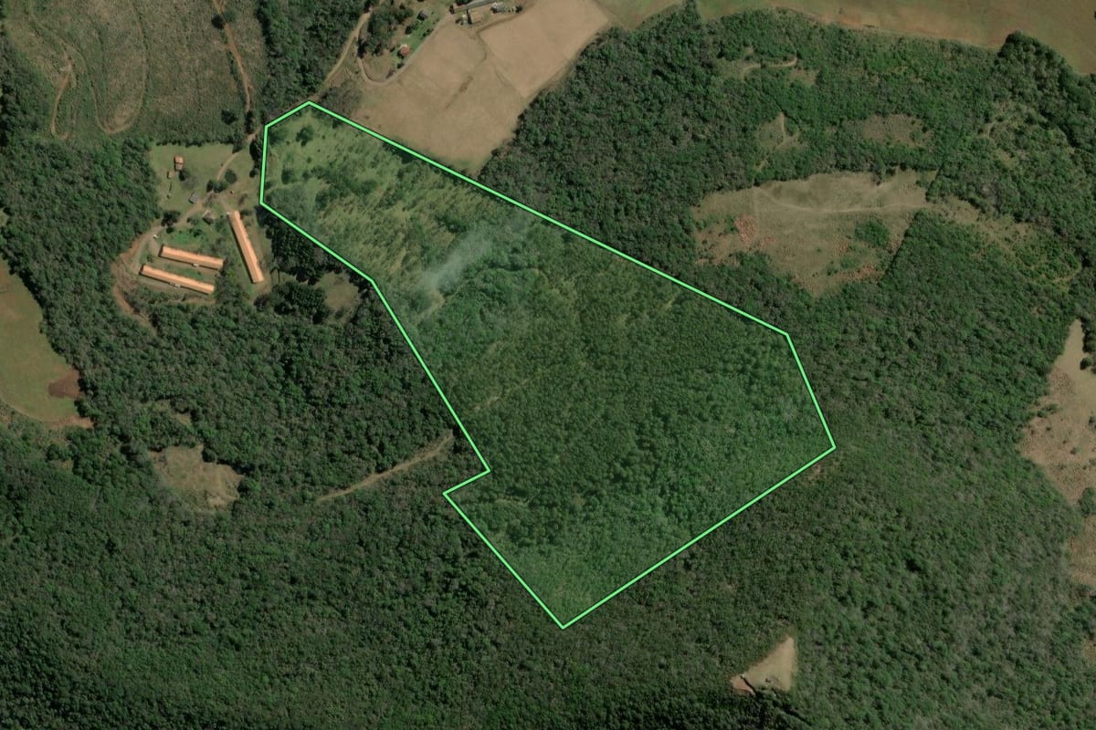 Imagem de satélite do imóvel rural em Tangará (SC), com o contorno declarado no CAR desenhado por cima.